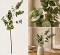 Green carob stem