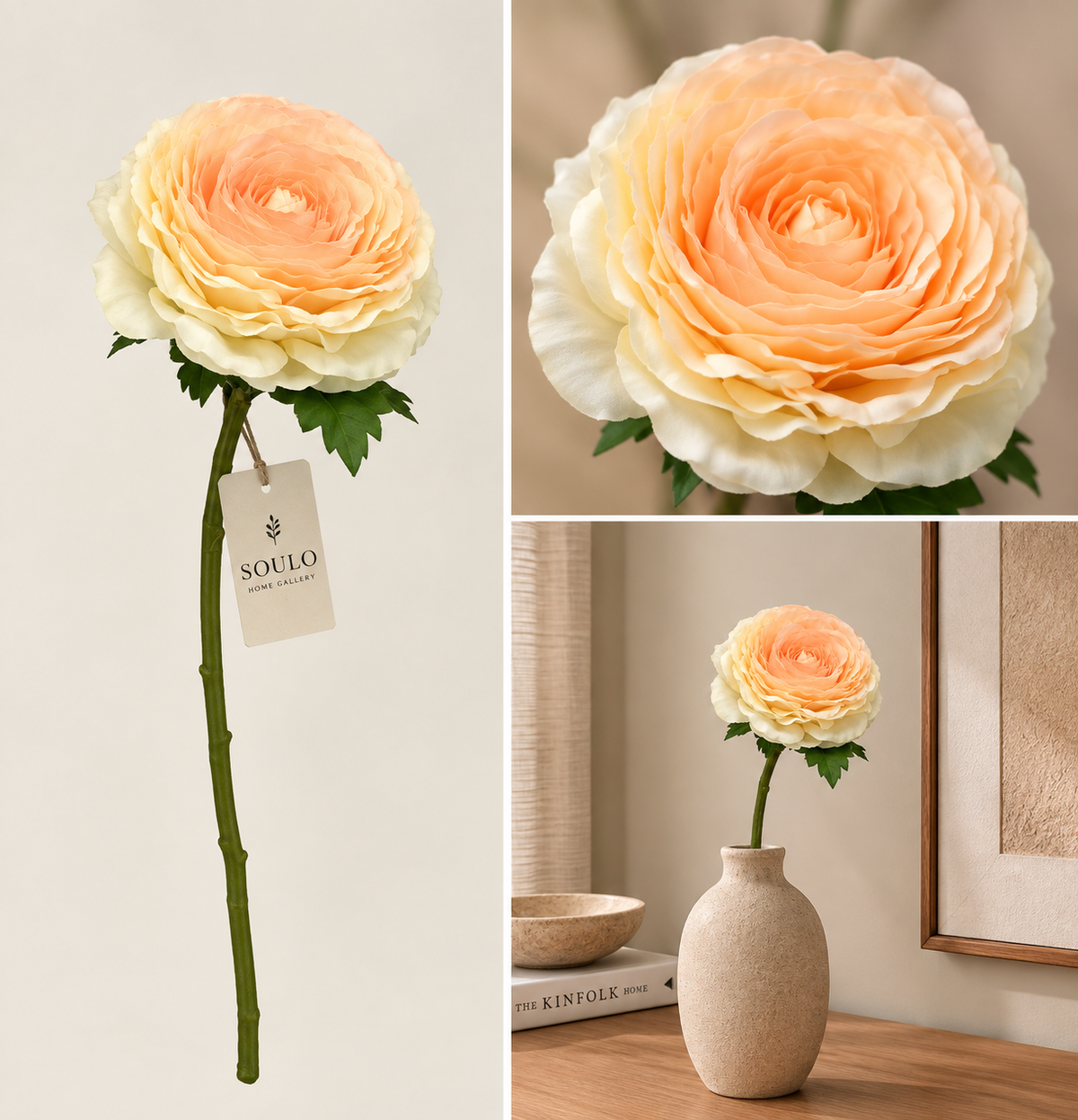 Peach rose