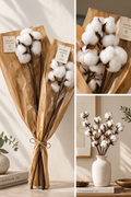 Cotton stem