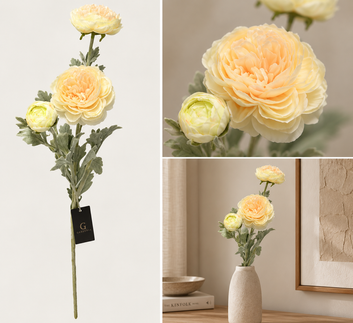 Peach rose