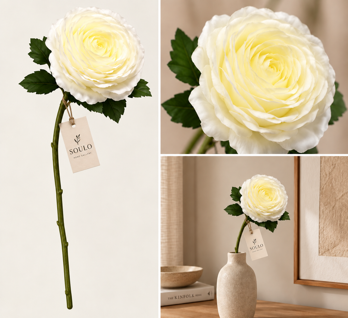Creamy white rose