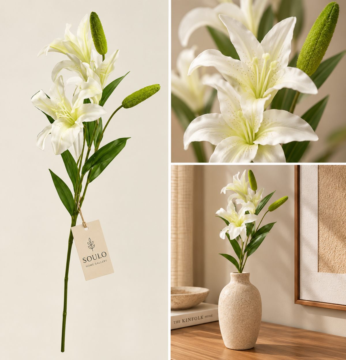 ‏cream white lily